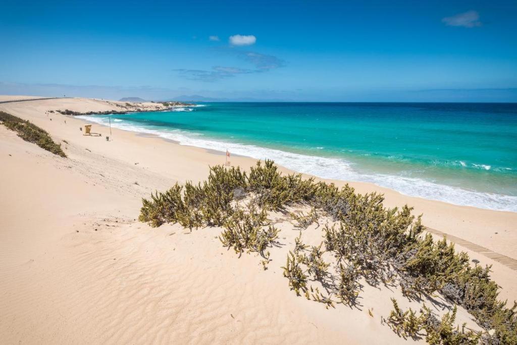 Los Majos Fuerteventura Tarajalejo Eksteriør billede